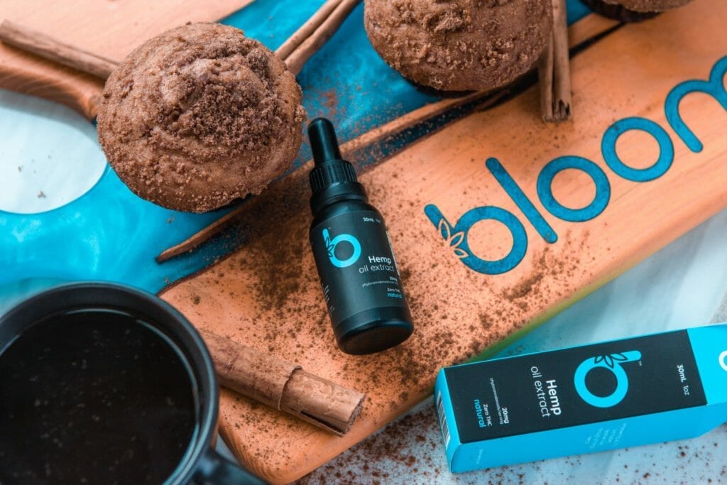 target audience webnomadin