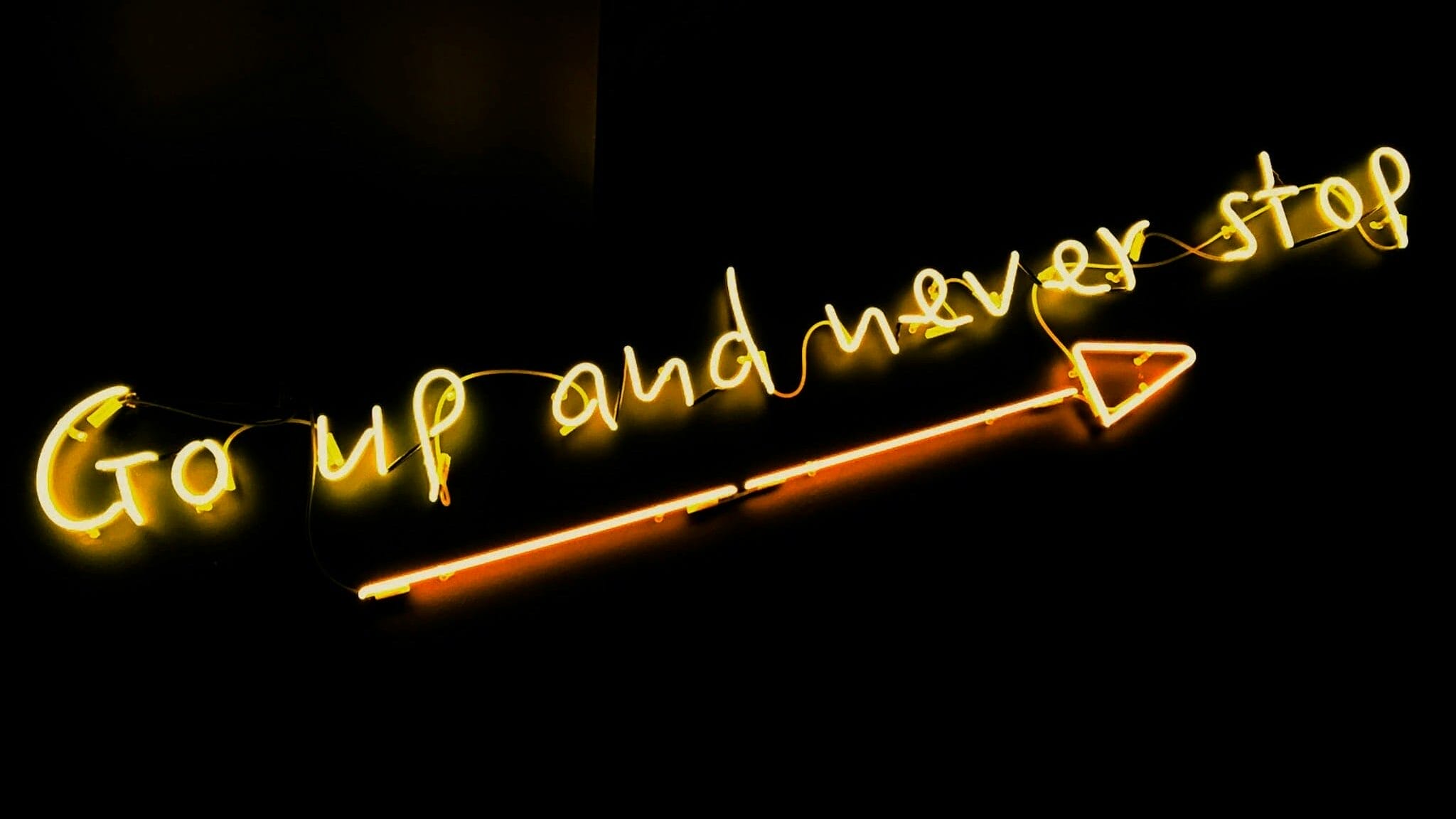 erfolg im branding edited